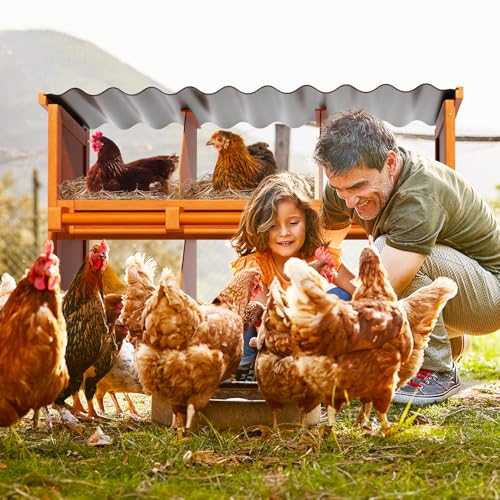 Chicken Nesting Boxes,6 Compartments Wooden Nesting Boxes for Chickens,Laying Nest Boxes for Hens Ducks Poultry Protect Eggs Chicken Coops Easy Egg Collection (6 BOXS) - size: 6 BOXS