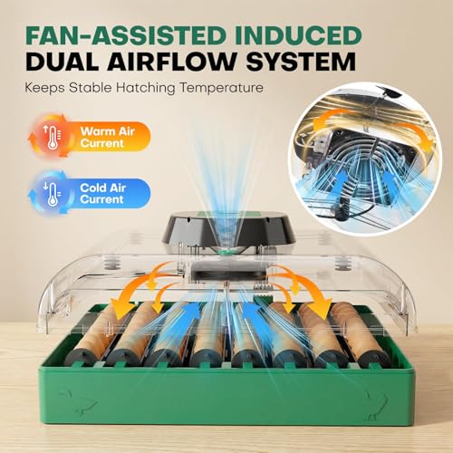 72 Eggs Hatching Incubator for Chicken/Duck/Quail | Automatic Egg Turner, Humidity Control, Digital Temp, 360° Clear View, Ideal for Lab School Farm