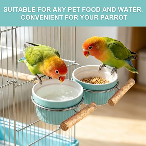 Ceramic Bird Cage Bowl with Stainless Steel Rack Holder, Hanging Anti-Tip Feeding Cup, Secure Mount Food & Water Dish for Parrots, Cockatiels, Parakeets, Small to Medium Pet Birds