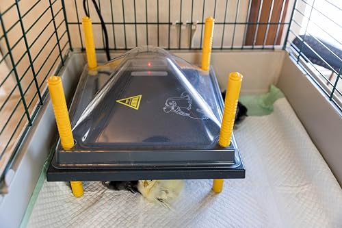 Chick Brooder Heating Plate & Anti-Roost Cone Set - Warms Up to 20 Chicks - 22 Watts (12x12)