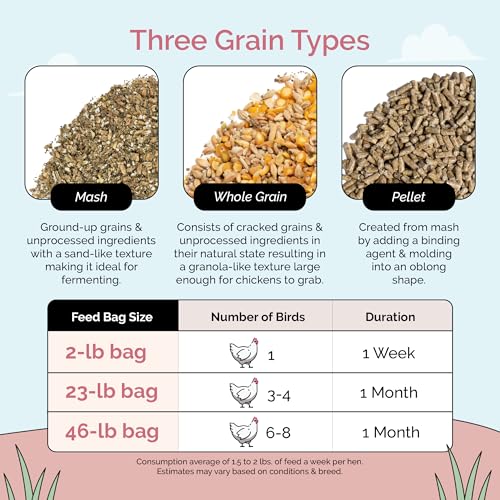 Mile Four Organic Chicken Feed, Layer Mash, Non-GMO, USA Grown 46 lbs | 16% Protein; Corn & Soy-Free; USA Grown; Non-Medicated; No Fillers or Additives; Supports Egg Production; Family Farm Sourced - size: 46 Pound (Pack of 1), style: Mash
