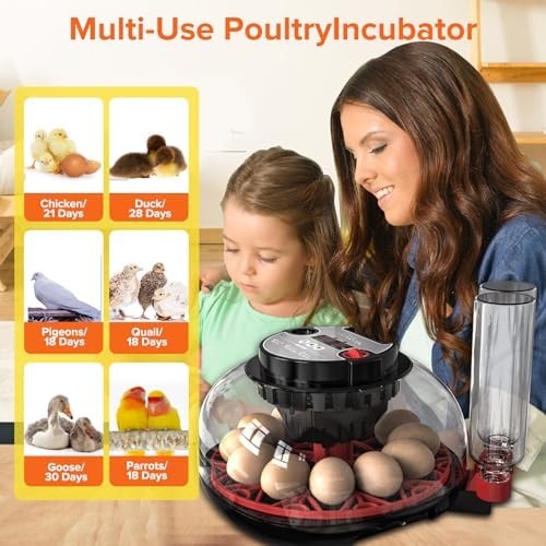Incubator with Automatic Egg Turning and Humidity Control, Incubators for Hatching Eggs, Chicken, Ducks, Goose, Pigeon, Quail, Parrot Incubator for Farm, Lab, Science Classroom, Home - color: Black