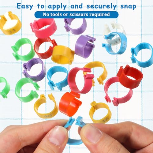 80 PCS Poultry Tags 16mm Plastic Chicken Leg Bands Color-Coded Leg Bands Duck Poultry Foot Tags for Chickens Ducks Goose Turkey Birds(Multicolor)