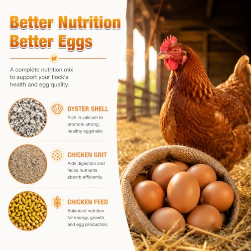 Chicken Feeder 2 Pack, Hanging Gravity Feeding Kit for Oyster Shell & Grit, Sturdy Metal Poultry Dispenser with Protective Cover, Weatherproof Food Holder for Chicken Coop, Ducks and Pigeons