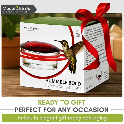 Hummingbird Feeder for Outdoors Hanging, 3.4 OZ Hummingbird Feeders, Glass Bowl with 4 Feeding Ports, Leak Proof Lid & Circular Perch, Bird Feeder (1, Lime) - color: Lime