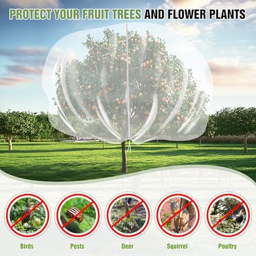 10 X 10FT Large Fruit Tree Netting, Tree Nets for Fruit Trees with Zipper and Drawstring, Insect Netting Barrier for Garden Blueberry Bushes Cherry Peach Apple Protection from Squirrels Birds Pests - size: 10FT x 10FT
