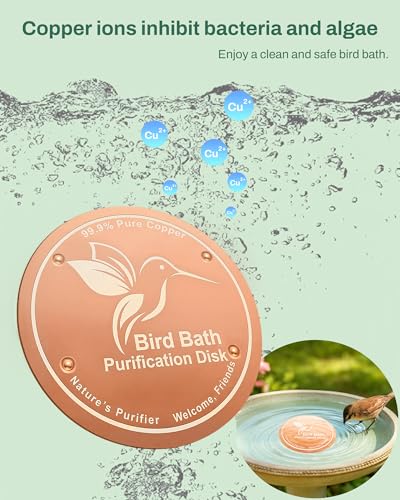 OICEME Bird Bath Purification Disk Pure Copper Outside Solar Power Women Wild Hanging Bowl Metal Hummingbird Cleaner Pedestal Outdoor Feeder Warmer Humming Cage Dispenser Gifts - color: Gold 2 PCS Bird&Butterfly
