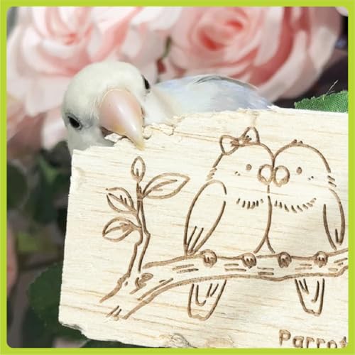 Natural Balsa Wood Bird Chew Toys,10 Pack Soft Wooden Slices with Prints - size: Small