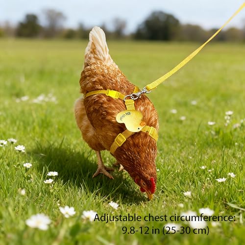 2Pcs Chicken Leashes and Harnesses Set, Adjustable Duck Harness and Leash | Adjustable Duck Leash with Elastic Breathable Pet Harness, Cat Vest for Goose Duck Hen Training Walking Strap Traction Rope