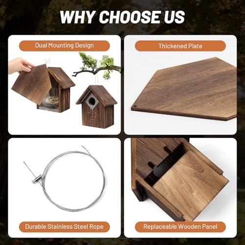 2-in-1 Window & Tree Hanging Bird House with Stainless Steel Rope | Dual Mounting Options, Clear Viewing Window, Openable Privacy Panel, Outdoor Birdhouse, For Bluebirds Finches Chickadees