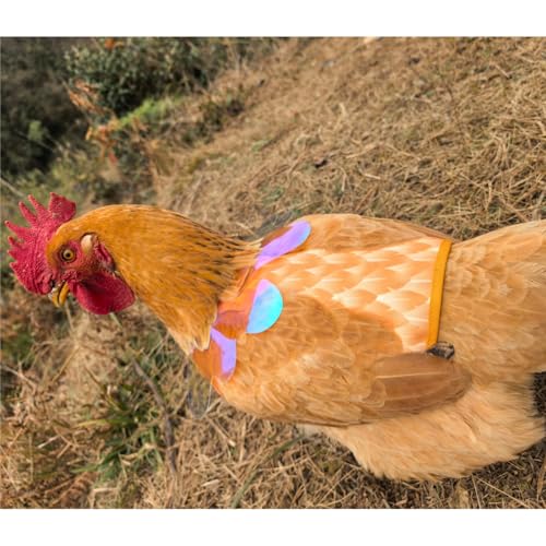 Chicken Saddles for Hens with Detachable Wings, Adjustable Hen Apron Back Protector for Feather Recovery, Double-Layer Breathable Poultry Saver for Standard Breeds (Yellow 2pcs) | Double-Layered Breathable Poultry Back Protector For Hens During Mating And