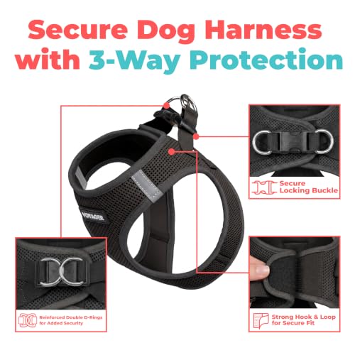 Voyager Step-in Air Dog Vest Harness - Black, Small | 14.5-16" in Chest, Reflective Bands, All Weather Breathable Air Mesh, Cats Compatible, Lightweight, Fast Drying - color: Harness (Black), size: S (Chest: 14.5 - 16")