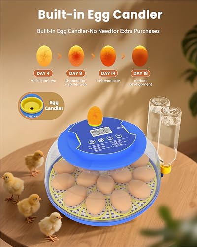 18 Egg Incubator with Automatic Egg Turning - Hatching Unit with Digital Control & Built-in Candler - Incubation System with 2 Hatcher Trays for Chicken, Duck, Goose, Quail, Parrot Eggs - Cyan