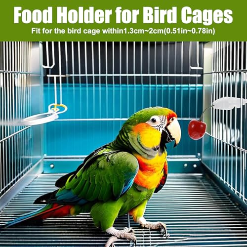 10PCS Bird Cage Food Holder, Plastic Parrot Fruit Vegetable Clips, Millet Holder for Bird Cage Parrot Food Feeder Clip for Budgie Parakeet Cockatoo Macaw Cockatiel Conure-White and Green