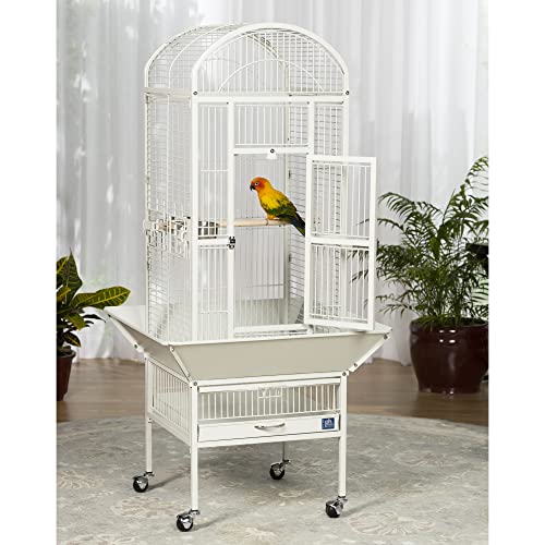 Prevue Pet Products Dome Top Bird Cage with Push Button Locks - Chalk White | Powder‑Coated Steel Cage with Wheels, Seed Guards, and Perch, Ideal for Cockatiels and All Small-Medium Sized Birds