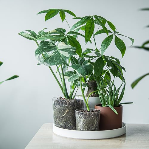 Phoenix Vine 14 Inch Plastic Plant Saucer Water Drip Tray, Heavy Sturdy Round Plant Drainage Tray for Indoors Outdoor, Matte White, 21-TY-14W-1 - size: 14"