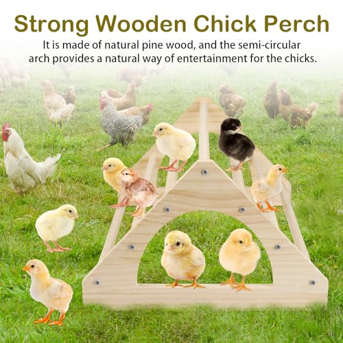 Large Wooden Chick Perch, 14.4" L x 10.6" W x 6.7" H Pine Chicks Toys | Chick Roosting Bar for Brooder and Coop, Strong Chicken Jungle Gym for Baby Chickens