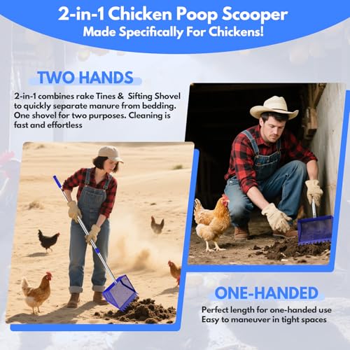 Chicken Poop Scooper Rake 2-in-1,304 Stainless Steel Shovel Head, Chicken Litter Scoop with Handle for Chicken Coop for Sand, Pet Waste Cleaning, Litter Sifting Shovel (35 to 65") (Blue, 10inch) | Chicken Poop Scooper - color: Blue, size: 10inch