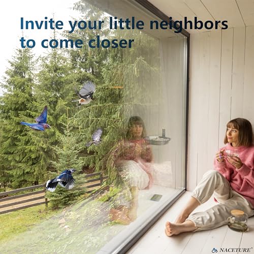 2 Pack Bird Feeder Bowls for Outdoor Fence, Deck or Wall | Stainless steel food and water bowls with mounting brackets for birds and squirrels; for fences, decks, walls and wood.