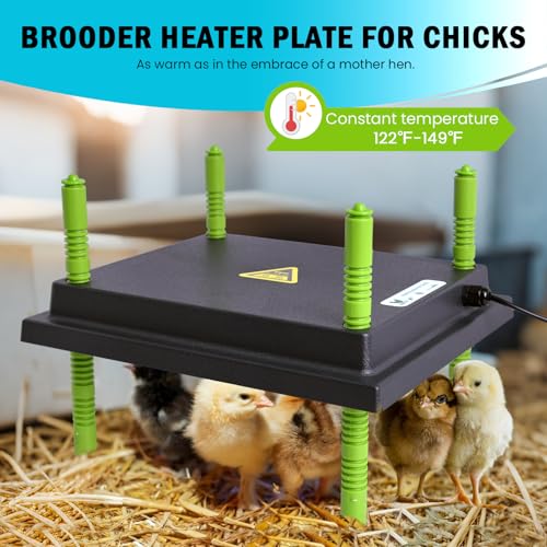 Tetuga Brooder Box for Chick Starter Kit with 10x 12” Brooder Heating Plate | Chicken Brooder Pen All-In-1 Bundles with Chicken Feeder, Waterer, Up to 15 Chicks, Duck & Quail, Indoor & Outdoor Use, Green - color: Chicken Brooder Tent Bundles,Green
