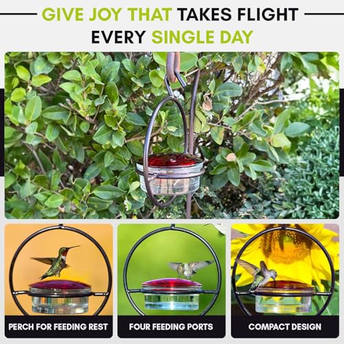 Mosaic Birds Hummble Slim Hummingbird Feeder, M045-301, 3.4 Ounce Capacity, Clear, 1 Piece