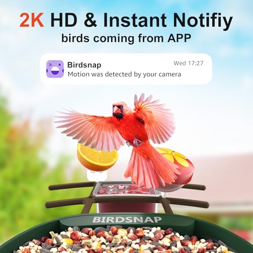 birdsnap® PAV Bird Feeder with Camera Solar Powered 2K Live Video 32GB Card | AI Bird Species Identification, Instant Arrival Alerts, IP65 Waterproof, Wild Bird Feeders for Outdoors, Gift for Bird Lovers - color: Dark Green