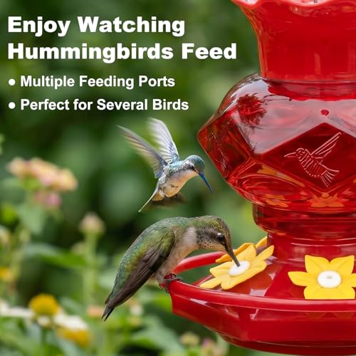 Hummingbird Feeders for Outdoors Hanging Ant and Bee Proof, 18OZ Diamond Humming Bird Feeders for Outside Circular Perch with Leak Proof & 6 Feeding Ports, Gifts for Women, Red 2 Pack Plastic - color: Red-2PC