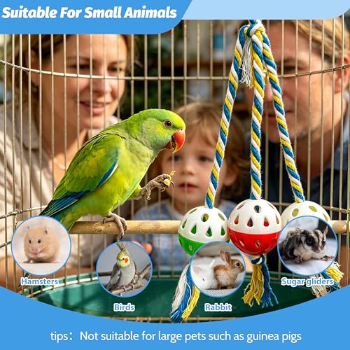 Bird Foraging Ball Toys with Rope, Parrot Feeder Toys for Conures Parakeets Cockatiel, Foot Talon Chewing Training Rattle Bell Balls Parrot Cage Toys (Medium, Ordinary)