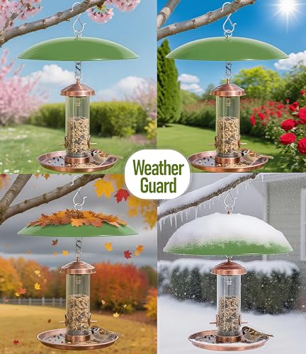13" Bird Feeder Rain Cover,Bird Feeder Dome,Hummingbird Feeder Squirrel Guard,Proof Bird Feeders Baffle,Smart Birds Feeder's Umbrella(Green), 2Pack - color: Green, size: 13Inch / 2 Packs