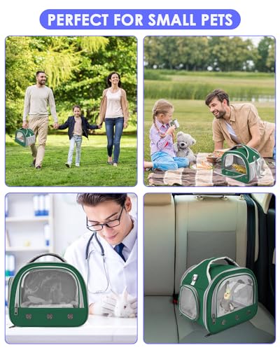 Bissap Bearded Dragon Travel Carrier, Portable Guinea Pig Carrier Bag Tortoise Carrier Pouch for Bunny Hamster Chinchilla Hedgehog Lizard Bird Outgoing Reptile Travel Carrying Case - Green - color: Green