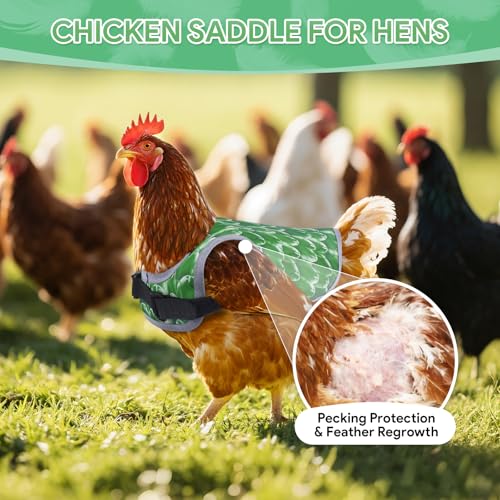 Chicken Saddles for Hens, Chicken Aprons for Hens with Adjustable Straps, Hen Saddle for Chickens - color: Green