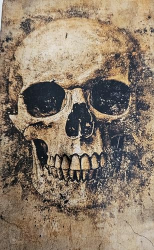RK Collections Skull Head Trinket Box Small Jewelry Keepsake Box. Gothic Skeleton Lovers Gift Idea, Skull's Soul Spiritual Case/Holder. (6.5" Skull Face) - style: Skull