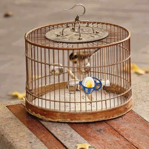 Hanging Bird Food Basket 10-Pack Cage Cup Feeders for Fruits Vegetables and Eggs Multi Functional Egg Holder for Parakeets Small Birds and Songbirds 2.75 X 2.67 X 1.37 in