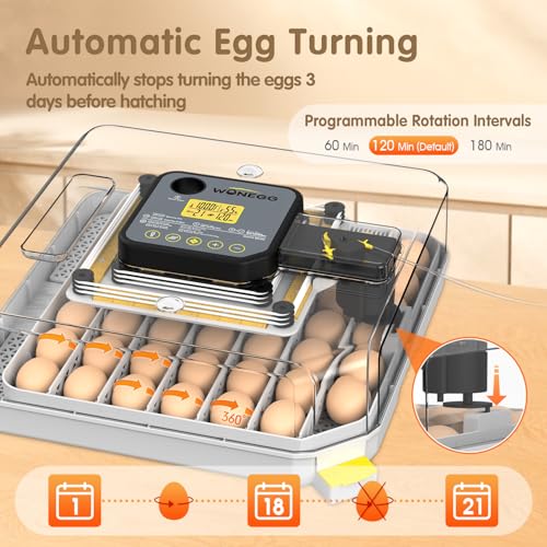 Incubators for Hatching Eggs Egg Incubator for Lab Home Farm with Automatic Egg Turning for Chicken, Ducks, Goose, Quail 48 Eggs - size: 48 eggs