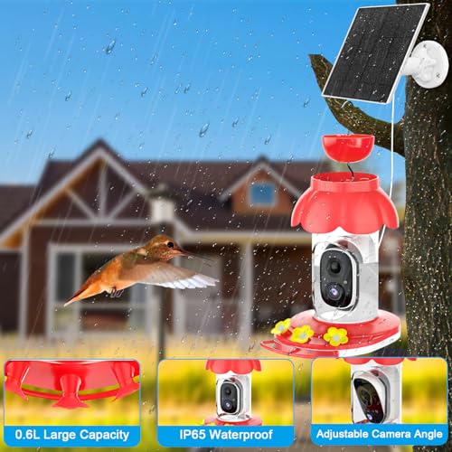 Hummingbird Feeder with Camera, Smart Hummingbird Feeder Camera Solar Powered with AI Identify, Auto Capture Bird Videos & Motion Detection, Ideal Gift for Bird Lovers