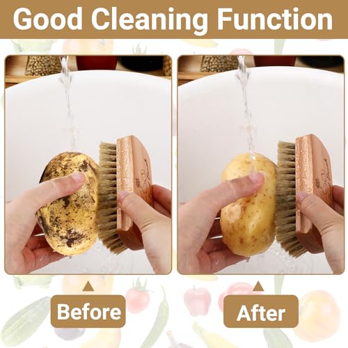 Vegetable Scrubber, Veggie Potato Fruit Brush for Food | Firm Bristles, Wood Veggie Wash Scrubber, Carrot Cucumber Tableware Cleaning, Kitchens Camping Brush Tool