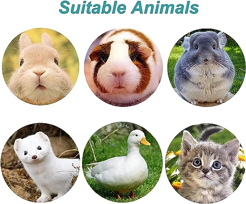kathson 2Pcs Rabbit Water Bottle 17 OZ Bunny Hanging Water Fountain Automatic Guinea Pig Water Dispenser No Leak Drinking Feeder for Bunny Chinchilla Hamsters Cat Dog Small Animals(Grey)