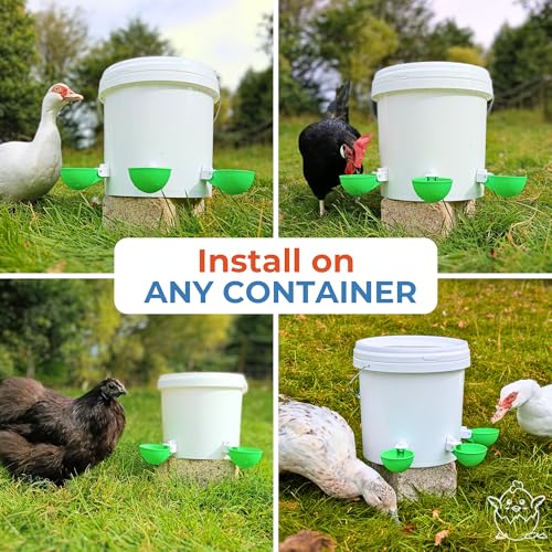 Lil'Clucker - Large Automatic Chicken Waterer Cups Suitable for Ducks, Geese, Turkeys, and Bunny Rabbit - Water Feeder Kit - Poultry Waterer (Green, 12 Pack) - color: Green, size: 12 Pack