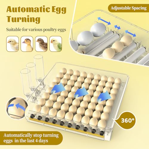 Egg Incubator Incubators for Hatching Eggs 128 Chicken Egg Incubator with Automatic Egg Turning and Humidity Display, Temperature Control Incubation Day Counter - size: 128 eggs