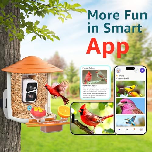birdsnap® TUC Bird Feeder with Camera Solar Powered 2K Video with 32GB Card | AI Bird Species Identification, Squirrel-Proof, IP65 Waterproof, Outdoor Wireless, 2.4G WiFi, Gift for Mom Dad Bird Lovers - color: Orange
