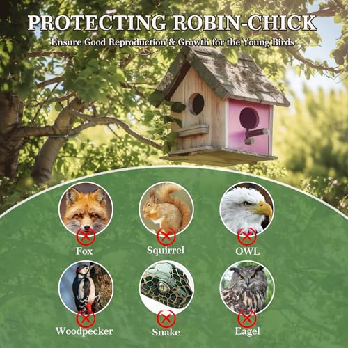 Bluebird House Predator Guards 2 Pack Metal Wire Entrance Hole Protector Bird House Hole Protector Bird House Wire Entrance Guard for Blue Bird Nesting & Babies Safe (Square)