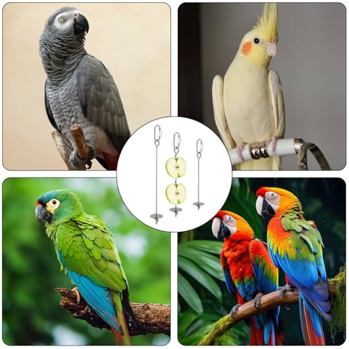 4 PCS Bird Cage Food Holders Stainless Steel Stick Feeder Parrot Fruit Vegetable Skewer Hanging Small Animal Hanging Foraging Accessories for Bird Parakeet Cockatoo Cockatiel