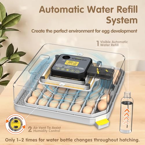 Incubators for Hatching Eggs Egg Incubator for Lab Home Farm with Automatic Egg Turning for Chicken, Ducks, Goose, Quail 48 Eggs - size: 48 eggs