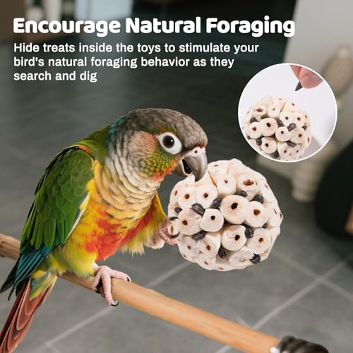 40 Pcs Bird Parrot Toys, Natural Bird Foraging Toy for Cockatiels, Lovebirds, Budgies, Small to Medium Parrot