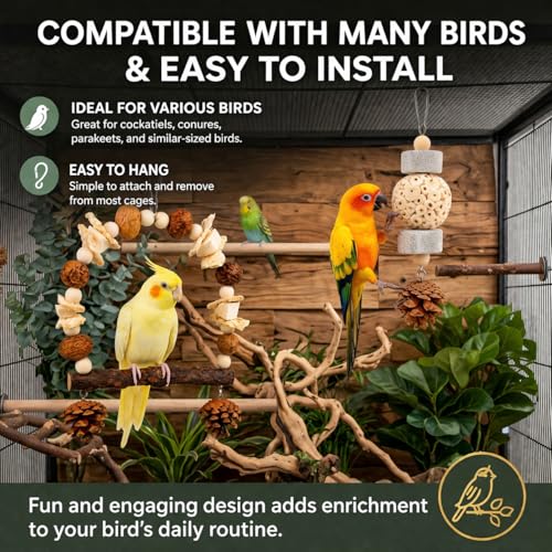 2 Pack Natural Bird Toys Set - Prickly Ash Wood Arch Swing with Walnuts & Cuttlebone - Sola Ball Shreddable Toy with Beak Grinding Pumice Stone, Cage Accessories for Cockatiel, Conure, Parakeets - color: Wood B(Sola Ball Set)