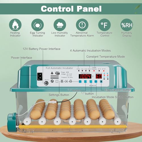 36 Eggs Incubators for Hatching Eggs,Egg Incubator with 4 Automatic Incubate Mode,Chicken Incubator with Automatic Egg Turning Humidity Display,Quail Egg Incubator with Egg Candle - size: 36 Egg