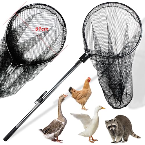 Catcher Net Small Animal Control Net Poultry Catching Trap Tool, Large | 43"-78" Handle, 24" Net Opening, For Chicken, Duck, Goose, Fish, Cat, Dog, Poultry Catching Trap Tool - color: Advanced Grey - 24inch Net Opening(Large)
