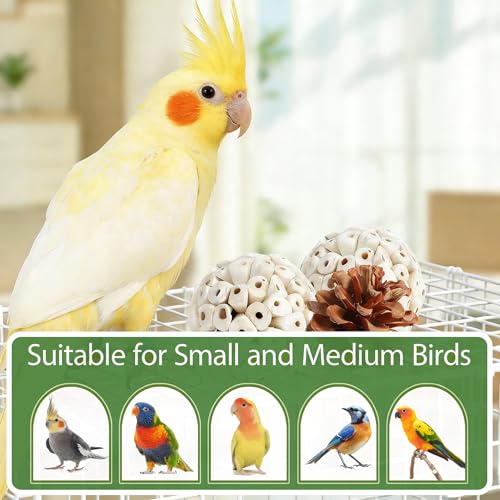 Natural Bird Toys Rattan Bird Foraging Box Parrot Shredding Toys Conure Chewing Toys for Cockatiel Lovebird Parakeet Budgie and Small to Medium Birds (Medium) - size: Medium