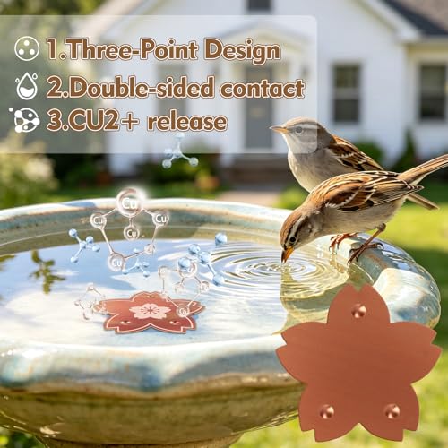 2 Pcs Copper Bird Bath Disc, Solid Copper Disk for Bird Bath, Flower-Shaped Bird Bath Copper Disk, Natural Water Purifier for Outside Bird Bath All-Season, Backyard Garden Decor - color: Flower