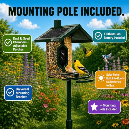 FeatherSnap Smart Bird Feeder with Camera – Solar Powered, AI Bird ID, 1080p HD Night Vision – Includes Mounting Pole – Bird Feeder with Pole